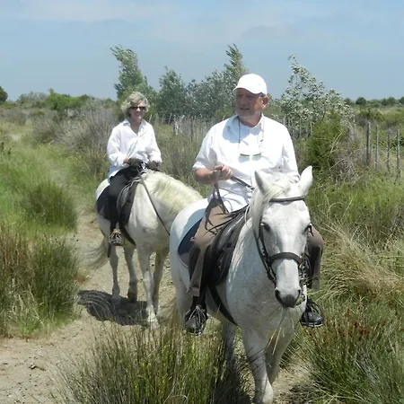 Hotel Mas De La Grenouillere Et Centre Equestre En Pleine Nature