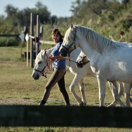 Hotel Mas De La Grenouillere Et Centre Equestre En Pleine Nature Saintes-Maries-de-la-Mer