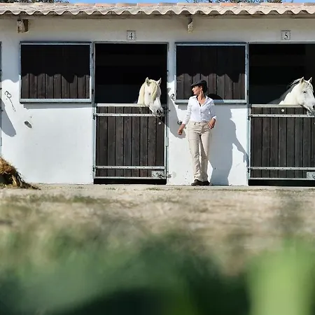 Mas De La Grenouillere Et Centre Equestre En Pleine Nature Hotel 3*